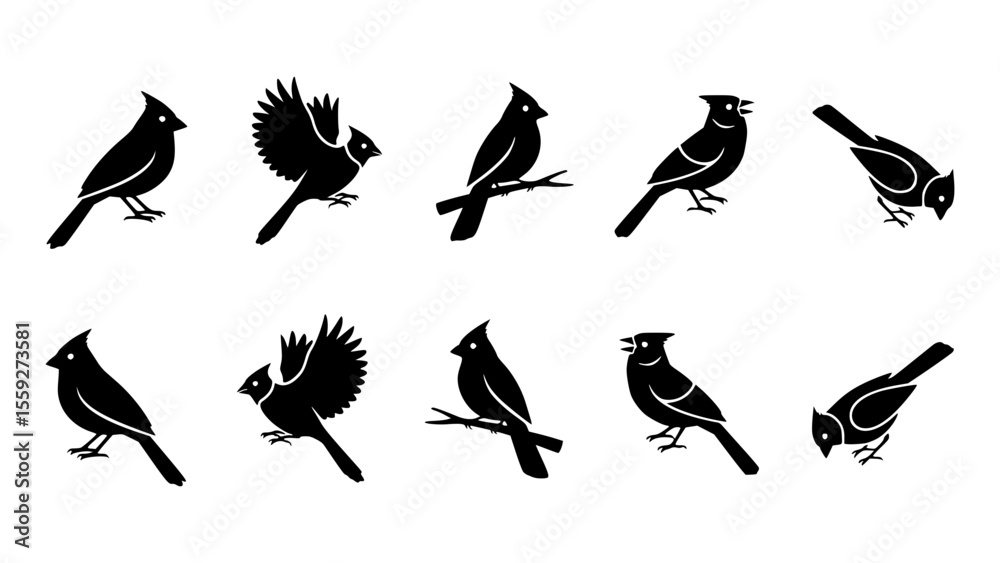 Obraz premium A collection of black cardinal illustrations in different poses against a solid background, showcasing the bird's unique features