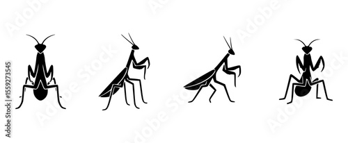 Silhouette image of praying mantis at various angles. The insects are depicted in black against a solid background