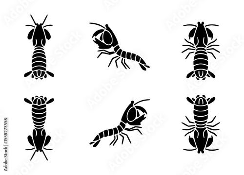 An artistic collection of shrimp silhouettes presented in a stylized pattern, set against a backdrop