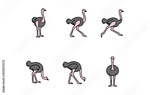 A sequence of six animated ostrich illustrations in motion, from standing still to running and bending down