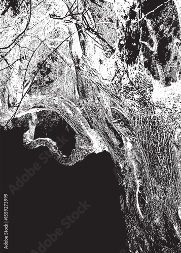 Olive or olive oil vector label design. Old lonely olive tree with cracked bark in retro style. Suitable for packaging design, sticker, logo. No AI used