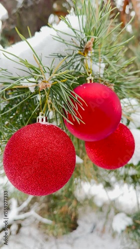 Red Christmas baubles on winter trees, joyful holiday nature theme, snowy holiday greetings, hanging festive ornaments, Christmas celebration in nature, winter wonderland brilliance, bright red