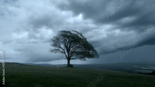 Lone tree bending in strong wind and rain with lightning strike