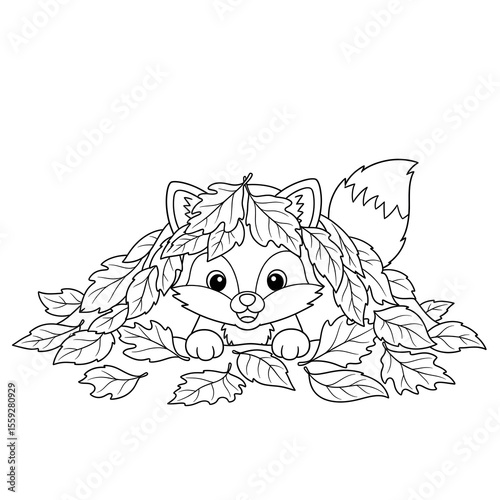 Raccoon animal cartoon illustration peeking behind leaves