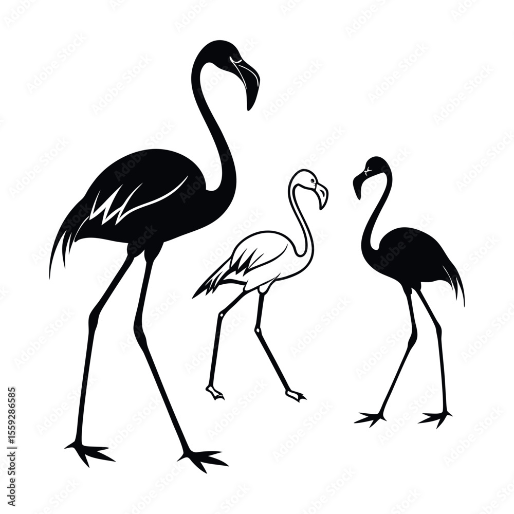 Fototapeta premium Elegant Flamingo Silhouettes A Trio of Graceful Birds in Black and White Illustration
