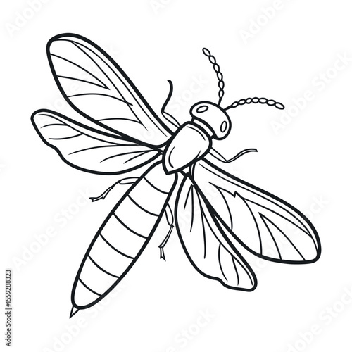 Detailed Line Art Illustration of a Termite Alate A Stunning Close-Up Drawing of Insect Anatomy