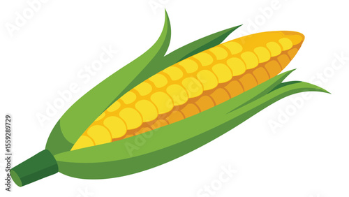 Crunchy corn cobs as a vector illustration.