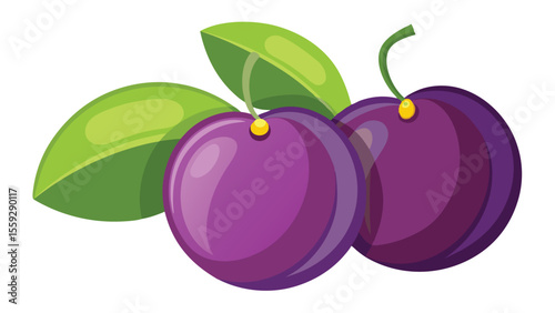 Fresh plums as vector illustration.