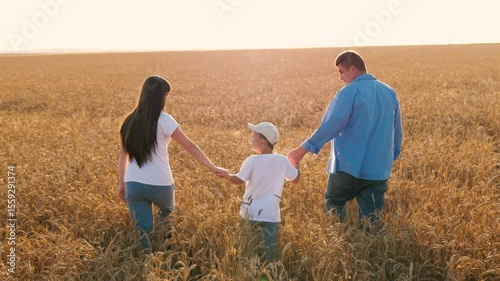 Happy family walking together at sunny dry wheat field with love and tenderness back view. Mother father and son holding hands going on countryside farming agriculture harvest meadow enjoy freedom