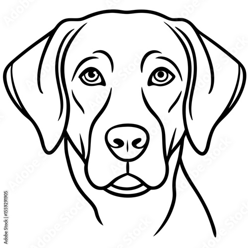 Chesapeake Bay Retriever Silhouette Vector