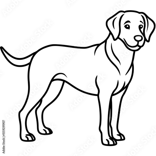 Chesapeake Bay Retriever Silhouette Vector