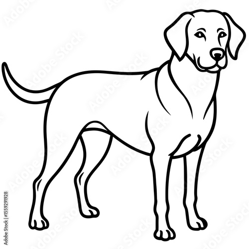 Chesapeake Bay Retriever Silhouette Vector