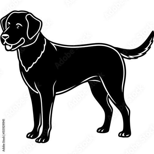 Chesapeake Bay Retriever Silhouette Vector
