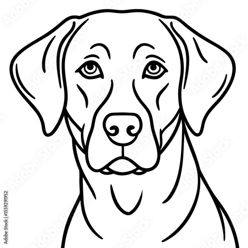 Chesapeake Bay Retriever Silhouette Vector