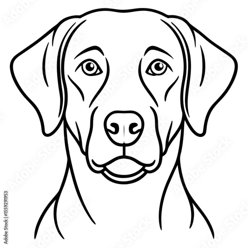 Chesapeake Bay Retriever Silhouette Vector
