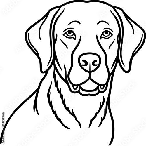Chesapeake Bay Retriever Silhouette Vector