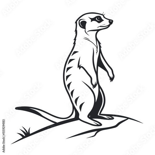 Majestic Meerkat Illustration A Striking Line Art Design of a Sentinel Meerkat on Lookout, Standing Tall and Vigilant
