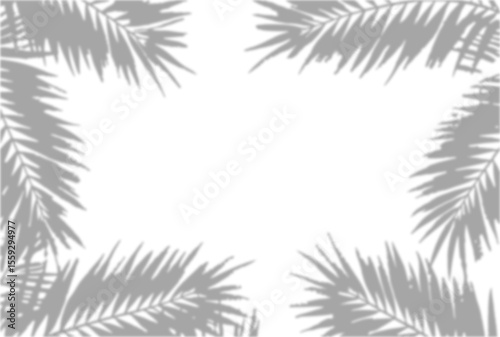 Realistic Palm Leaf Shadow Overlay on Transparent Background. Natural Coconut Foliage Silhouette for Summer Design