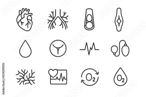 Medical icons set featuring heart, lungs, and other health symbols