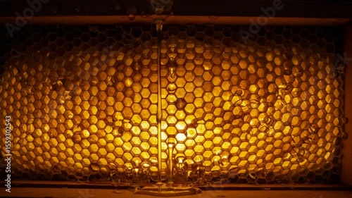 Honeycomb structure illuminated with warm light