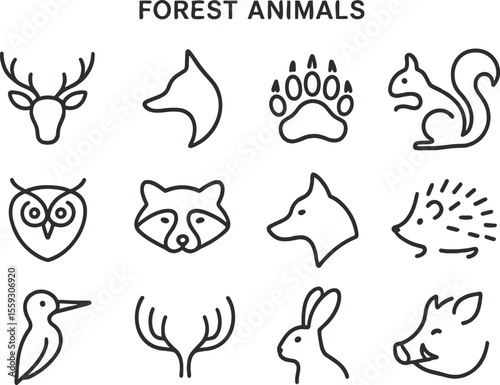 Mountain animals represented with minimalistic line art showcasing various species found in rugged terrains