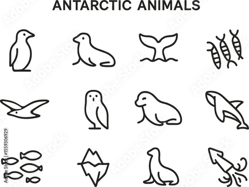 Collection of forest animals depicted in simple line drawings showcasing diverse wildlife commonly found in wooded areas