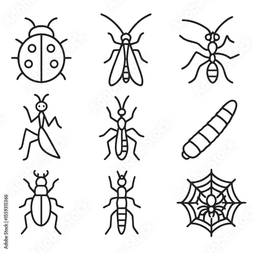 Garden Insect Icons. Line style icons of garden-friendly predatory insects: ladybug, green lacewing, parasitic wasp, praying