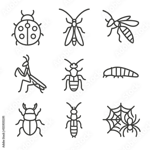 Garden Insect Icons. Line style icons of garden-friendly predatory insects: ladybug, green lacewing, parasitic wasp, praying