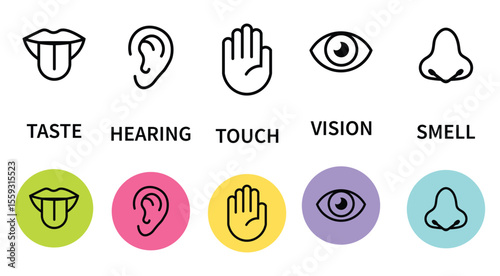 Human senses icon set. Vision eye, smell nose, hearing ear, touch hand, taste mouth with tongue. Simple line icons and black circle. Five senses of human nervous system. Vector illustration.