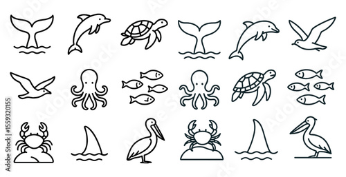 Outline drawings of sea animals and birds in rows.