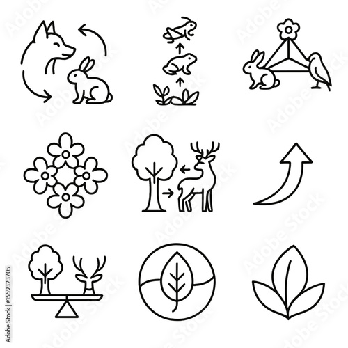 Ecosystem Balance Icons. Line style icons of ecosystem balance: predator-prey cycle, food chain diagram, ecosystem web,
