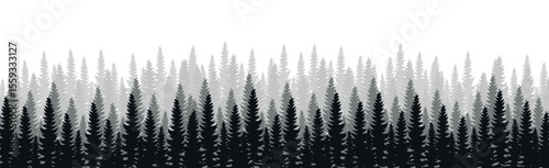 Panorama of dense forest, fir and pine natural green landscape, web background, template - Vector illustration