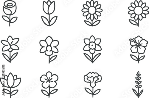 Various flower types illustrated with simple line designs and floral names for educational purposes