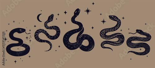 Cundalini snakes set. Mystical Celestial Design Elements, hand drawn occult snakes with stars and moon. Tattoo or t-shirt mystic design.