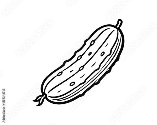 Detailed Cucumber Outline Drawing for Culinary Illustrations and Vegetable Designs