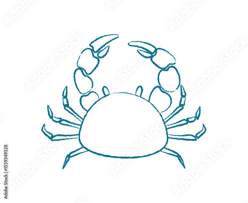 Crab silhouette in chalk style. Marine creature in underwater ocean. Doodle visual style, potential for use aquariums or educational materials.