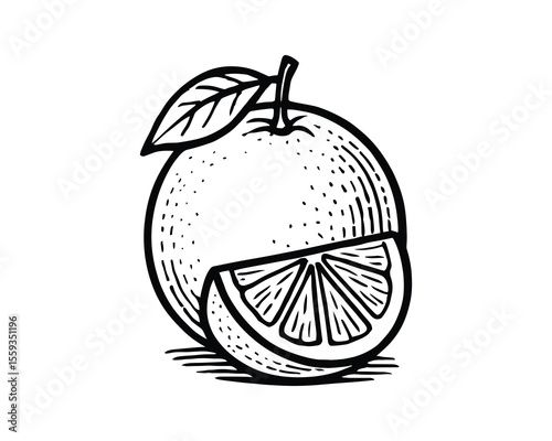 Fresh Orange Illustration with Slice for Healthy Eating and Vitamin C Designs