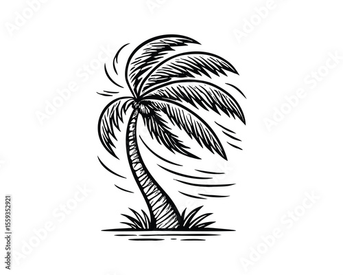Palm Tree Sketch Style Illustration for Tropical Scenery and Vacation in Black White