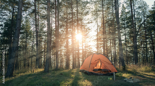 Sunlight Breaking Through Trees Over Forest Camping Tent at Sunrise