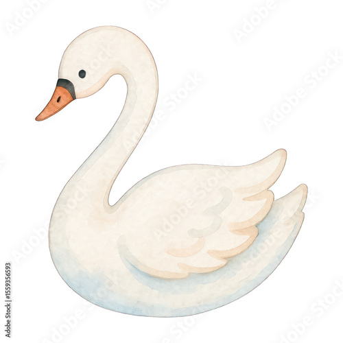 Fototapeta Naklejka Na Ścianę i Meble -  PNG Elegant watercolor swan illustration.