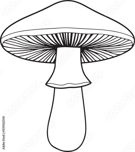 Simple boletus mushroom outline logo with clean lines