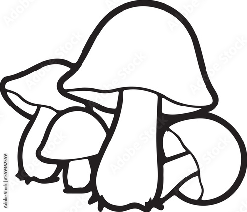 Boletus mushroom outline illustration isolated on white background
