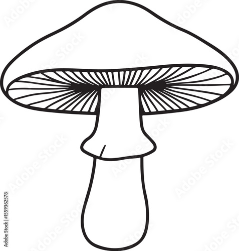 Minimal boletus mushroom outline logo for nature branding