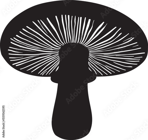 Natural boletus mushroom silhouette graphic for herbal illustrations