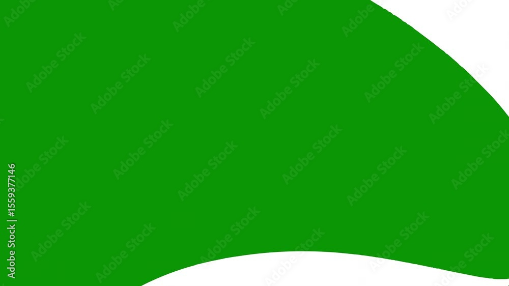 A green screen with white background and black photo of man in suit tie heart on the middle frame leaf silhouette person tooth animated chromakey background figure movement cartoonish