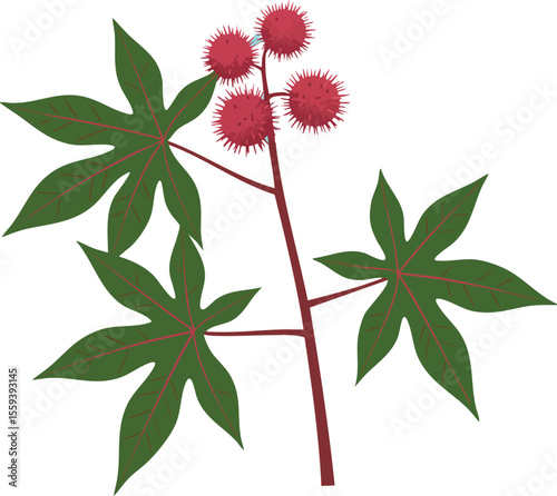 Castor bean plant with green leaves and red seed pods natural botanical vector illustration 