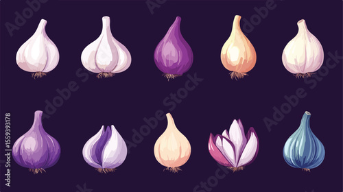 Detailed Garlic Vector Icons Flat Illustration