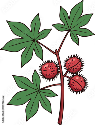 Castor Bean Plant with Green Leaves and Red Spiky Seed Pods Botanical Illustration 