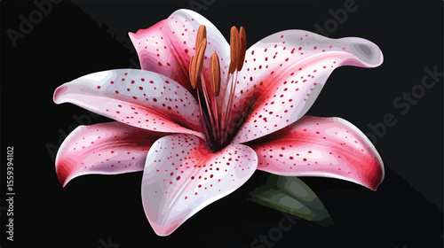 Delicate Floral Decoration with Lily Flowers in Nature