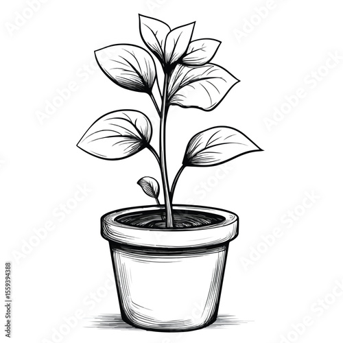 Charming Flower Pot Cartoon Vector and Illustration in Black
